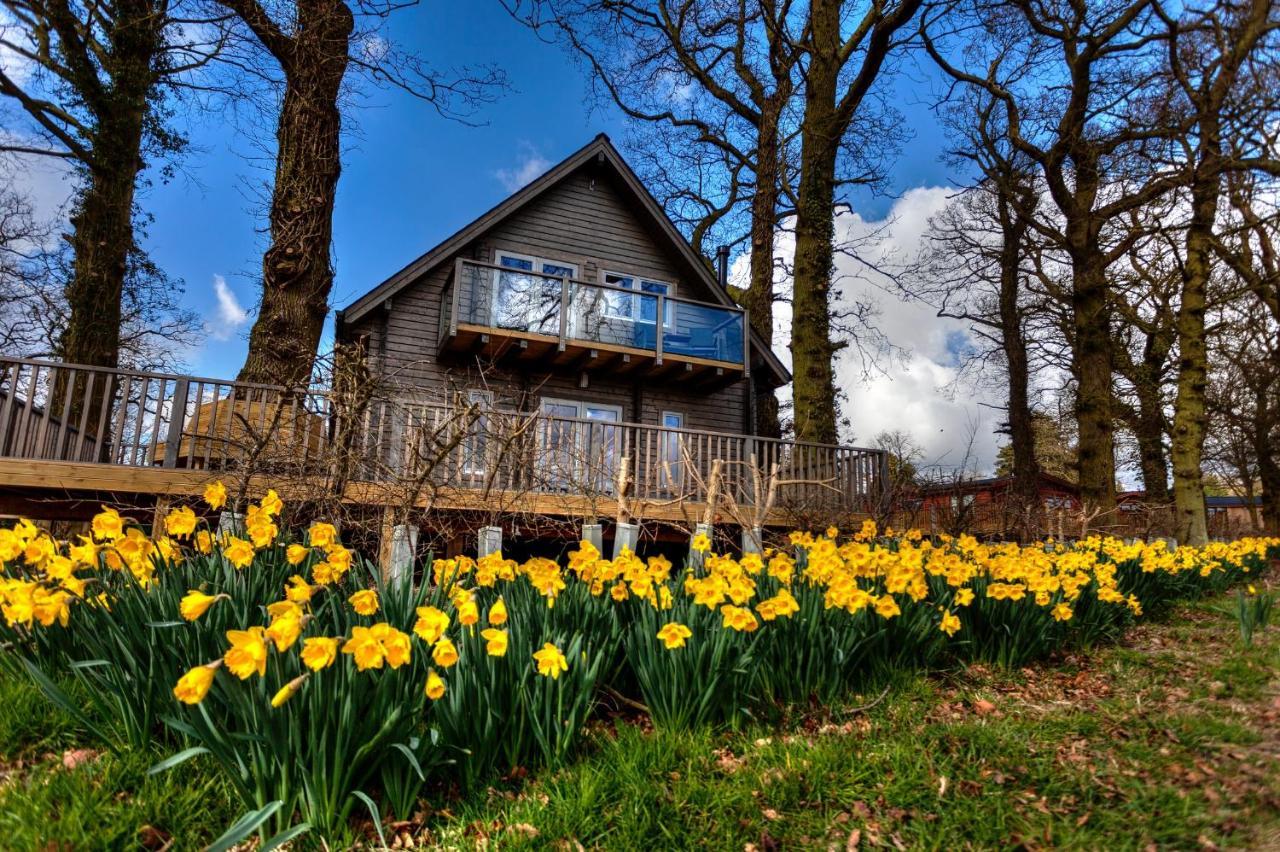 Ilodge Ultra Louth  Dış mekan fotoğraf