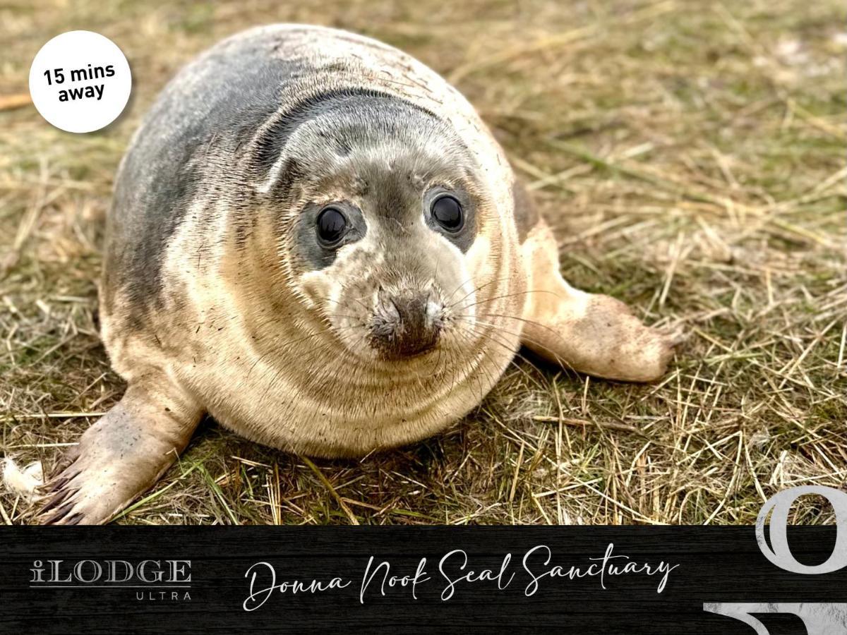 Ilodge Ultra Louth  Dış mekan fotoğraf